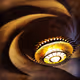 Lillyjp