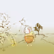 LooseCid_4