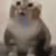 hoodchan_enjoyer
