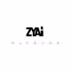ZYAiCORP