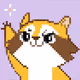 RaccoonCrypto