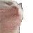 0xc6e0b10c34f66ba6c448a0b5cce9aac02b829af6