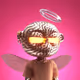 TheCryptoFly
