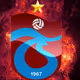 bkaya61