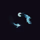 RiskayPlayz