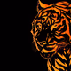 Tiger_OS
