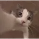 0xc760337c9b780acd035d5693d235cf42bfa19ae3