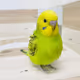 Bit-Inko