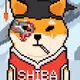Shiboshi_NFTs