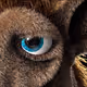 Bigoobe