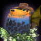 Cojack_Koh