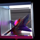 0xc81a5b47d4cfda8d477f6f36128623dcc41773cb