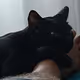 KIDAODAITUVERAVA