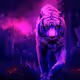 Ryderr