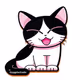 CutieCryptoCatsCollection