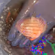 0xc88a538fc414fbc6bc341439cff968322f3f3da7