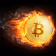 Crypto_Fire13