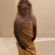 DenisUlchank