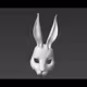 lapin_mort