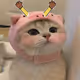 myshinsky