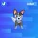 DchatZoo