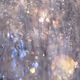 0xc908062ae1879d669a840f900e5b5758ea6c49bb