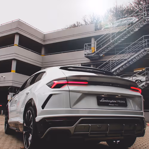 OpenSea profile picture for @Rosmery