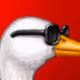 duckmin