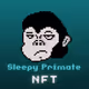 SleepyPrimate