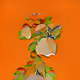 8bscstation