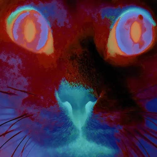 OpenSea profile picture for @katia