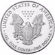 SilverEagle