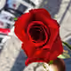 Chan2288