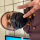 gregchristian