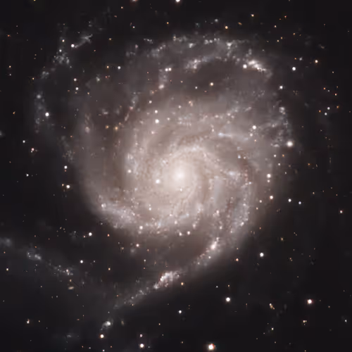OpenSea profile picture for @interplanetary
