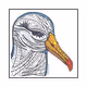 Albatroz654