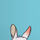 JVDH23