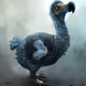 Dodo-Art