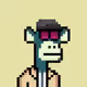 Mitch_Motch