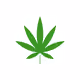 highsocietyx.eth