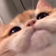 freakwillcreate