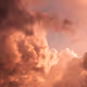 Ademaro_Ricci
