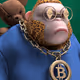 Bearpoopoo