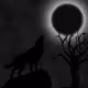 Timberwolf