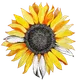 7novbee