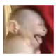 sicnannkm223
