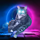 DpoolCryptor