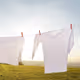 SpringClean
