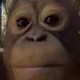UnknownUSER22