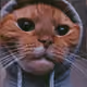 TheNFTCollector18